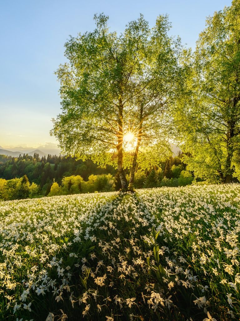 Blinklingmoos Naturschutzgebiet