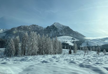 Eislaufen am Wolfgangsee