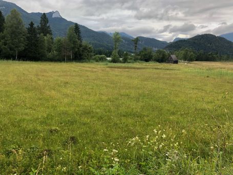 Sommer am Wolfgangsee